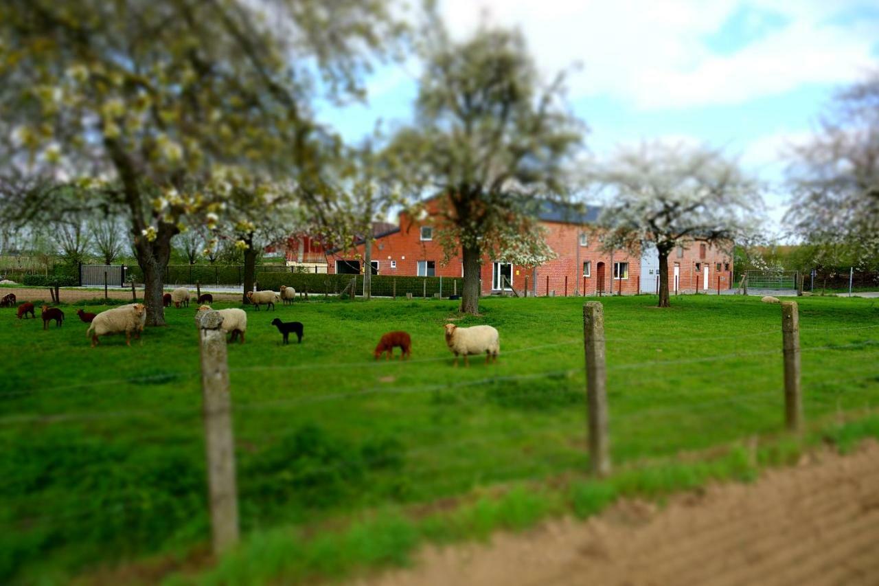 De Smishoeve Met Kinderpret, Dieren En Wellness Heers Bagian luar foto